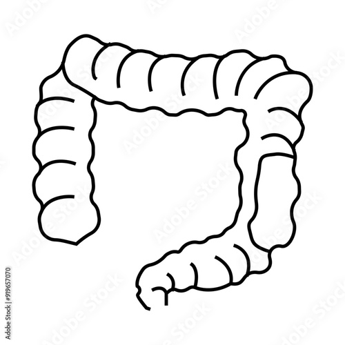 colon rectal cancer line icon vector. colon rectal cancer sign. isolated contour symbol black illustration