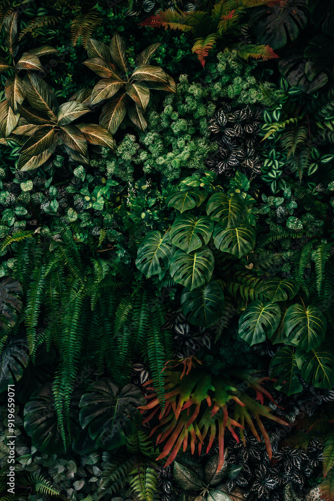 custom made wallpaper toronto digitalClose up group of background tropical green leaves texture and abstract background. Tropical leaf nature concept.