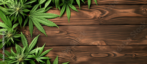 Cannabis leaves on wooden background with copy space for text place. 