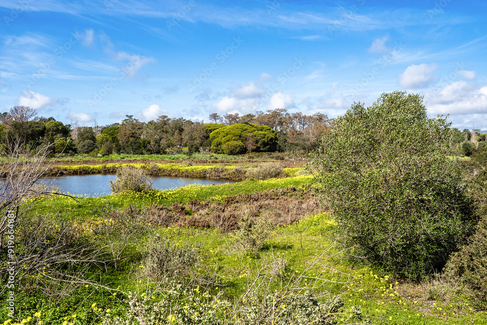Fototapeta premium Landscape view of Parque Natural da Ria Formosa near Faro, Portugal