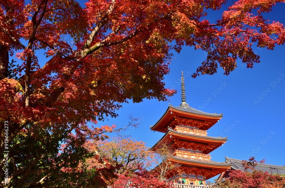 京都の秋 紅葉の清水寺 京都の秋 紅葉の清水寺