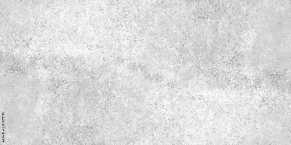 Black and white grunge crack paper texture design. Cement wall modern style background and texture. grunge gray texture of chips, cracks, scratches, Soft white grunge. Black and white grunge crack paper texture design. Cement wall modern style background and texture. grunge gray texture of chips, cracks, scratches, Soft white grunge.