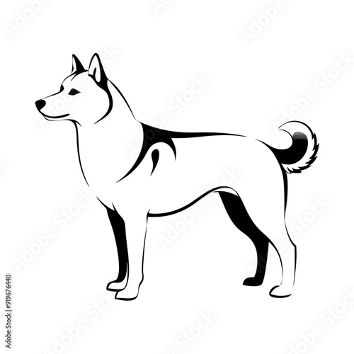 Greenland dog stands proudly, striking coat, built features, black line drawing