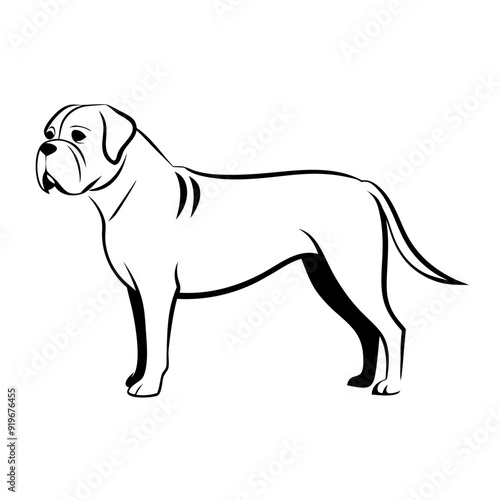 detailed portrait of dogue de Bordeaux dog, distinctive features and expression, line art