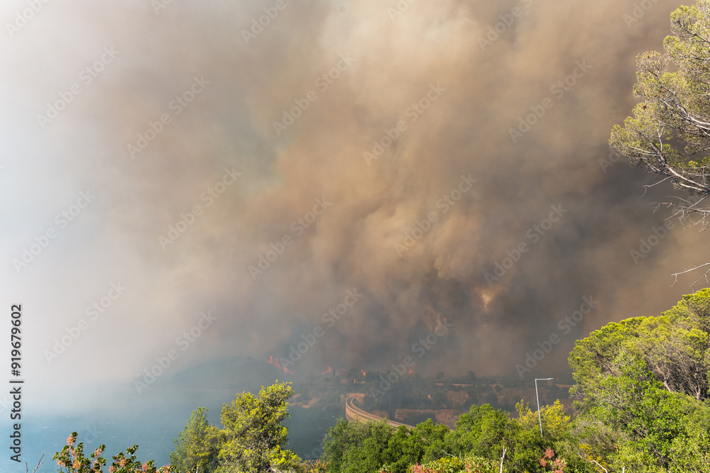 Smoke from a forest fire