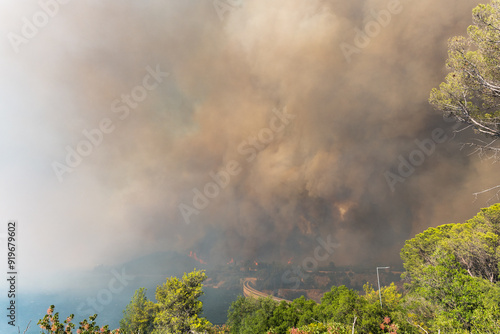 Smoke from a forest fire