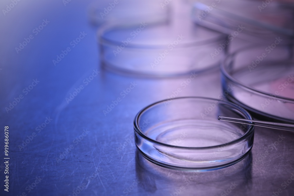 Petri dishes with samples and pipette on table, space for text. Color toned Petri dishes with samples and pipette on table, space for text. Color toned