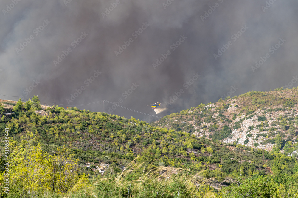Thick smoke from a wildfire