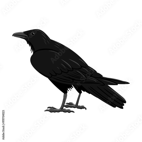 vector drawing black raven, crow, dark bird isolated at white background, hand drawn illustration