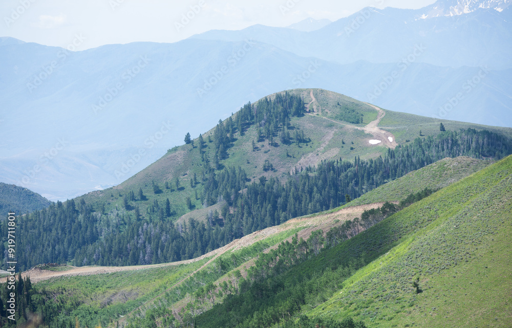 Fototapeta premium Green forest on top of a mountain Park City Utah