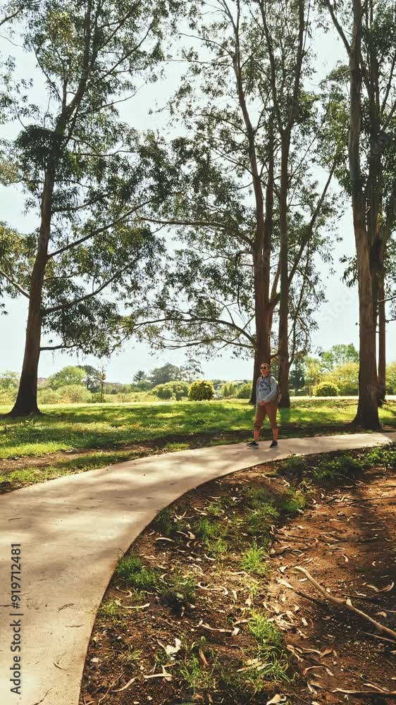 Person Walking on a Forest Path Person Walking on a Forest Path