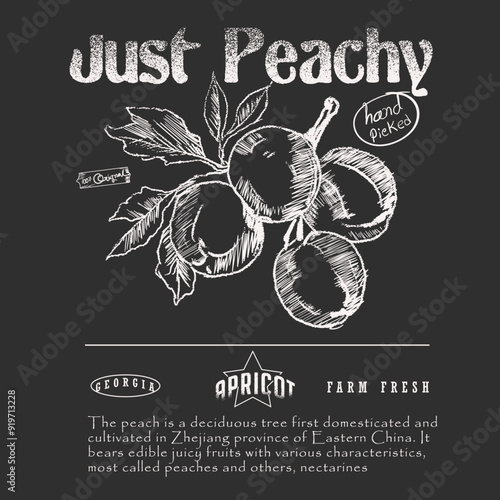 Vintage Hand Drawn apricot vector graphics, fruit design poster, Vintage Farm Produce Shirt,  Farm Fresh Georgia Peaches T-Shirt,
