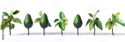 Six avocado trees with green leaves and a brown trunk on a white background.