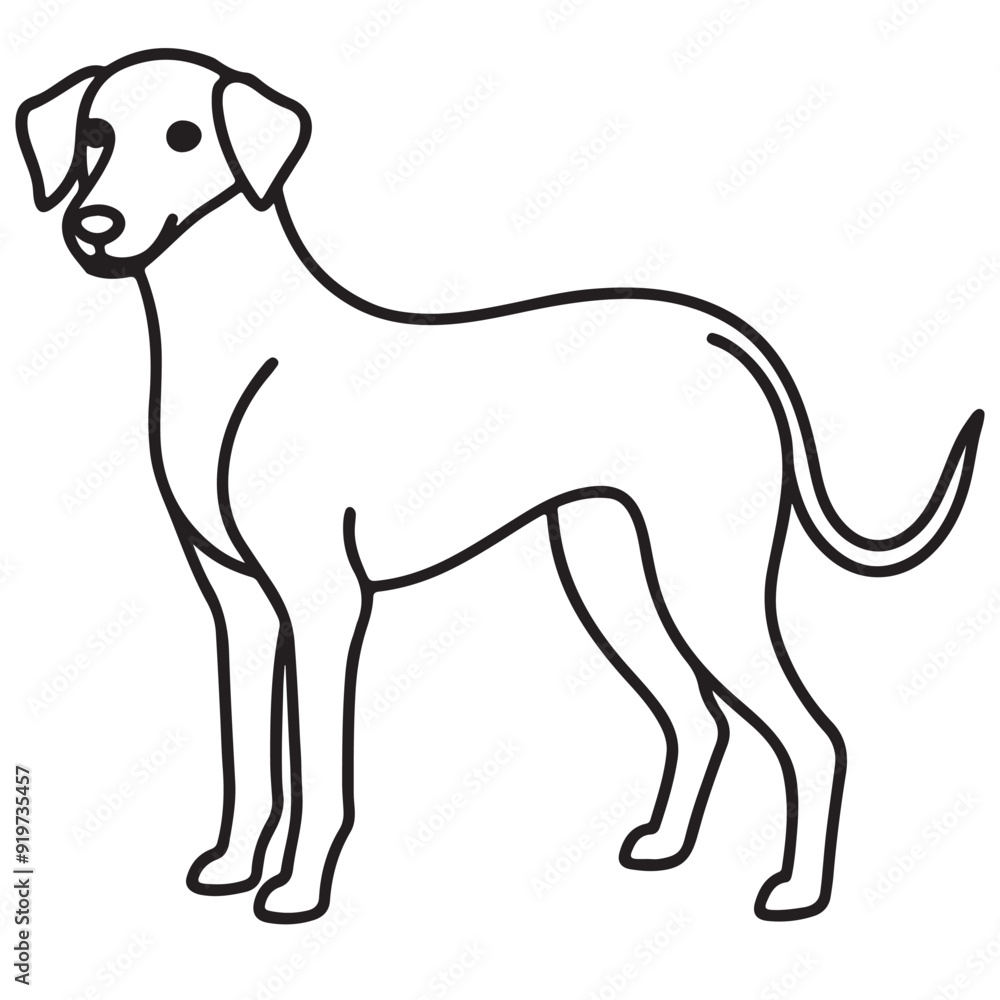 Vector black and white illustration of a sitting dog isolated on a white background. Vector black and white illustration of a sitting dog isolated on a white background.