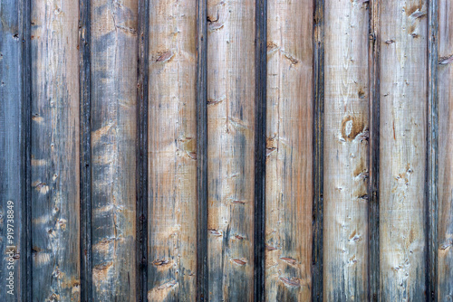 Obraz na płótnie The old wood texture with natural patterns w salonie