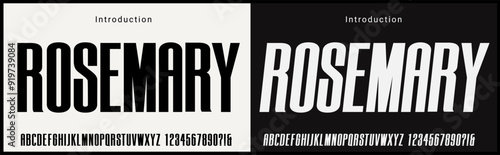 Condensed Vector Fonts. Alphabet of sans serif font with modern typography. bold and tall vector font 