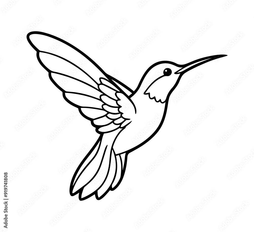 Line art of a hummingbird Line art of a hummingbird