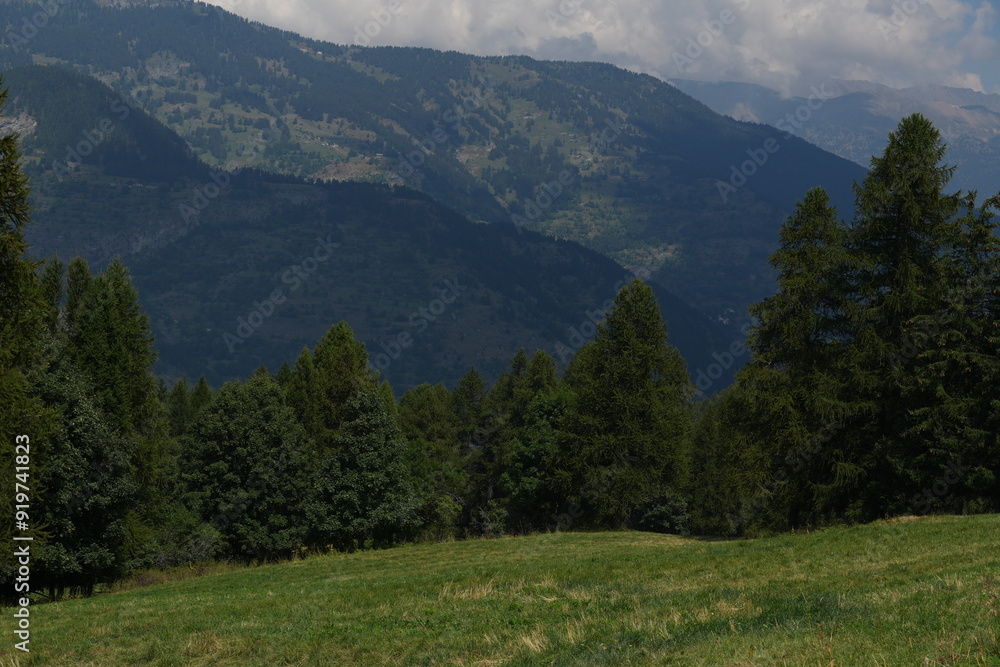 Obraz premium landscape in the mountains
