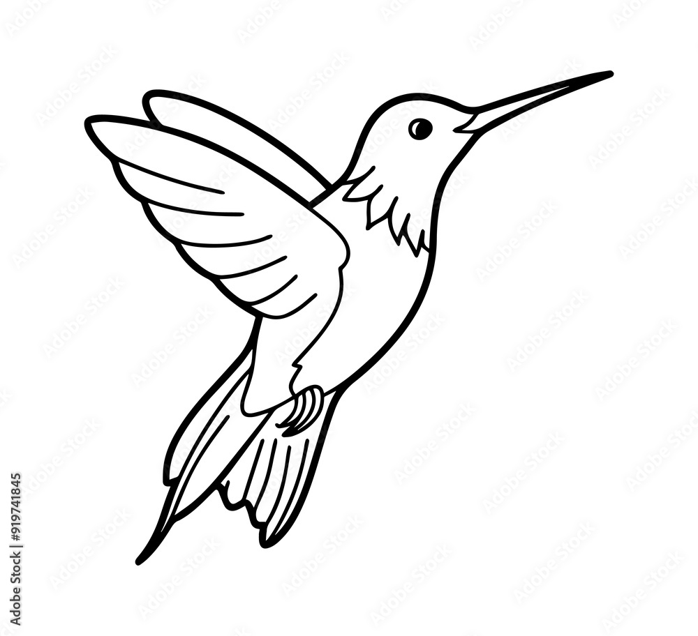 hummingbird line art vector illustration hummingbird line art vector illustration