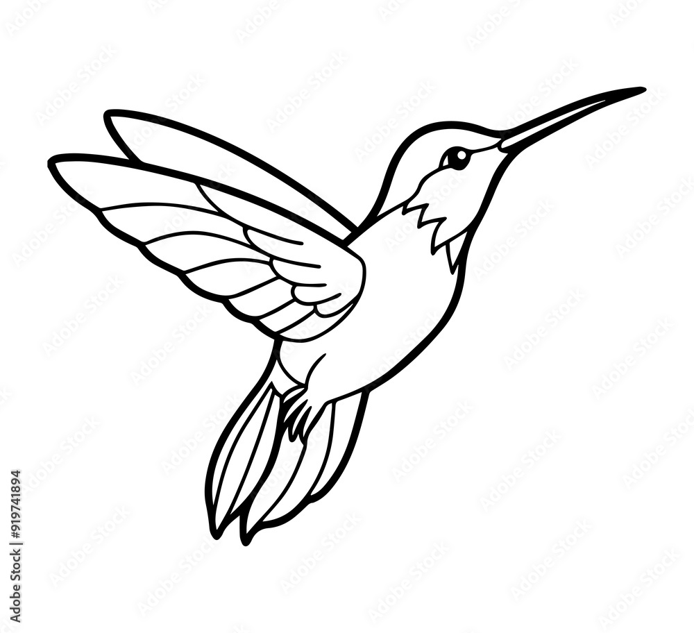hummingbird line art vector illustration hummingbird line art vector illustration