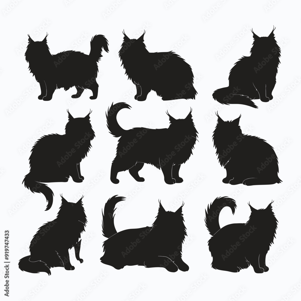 Maine coon cat silhouette set animals vector template Maine coon cat silhouette set animals vector template