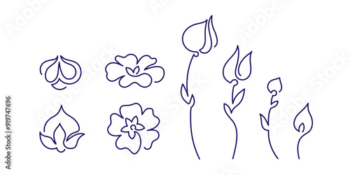 Flax line sign Minimal nature symbol Plant, flower