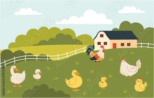 Flat vector illustration in children's style. Field and farm landscape, domestic birds, hen rooster duck goose goose chicken duckling goose duckling goose chick. Vector illustration