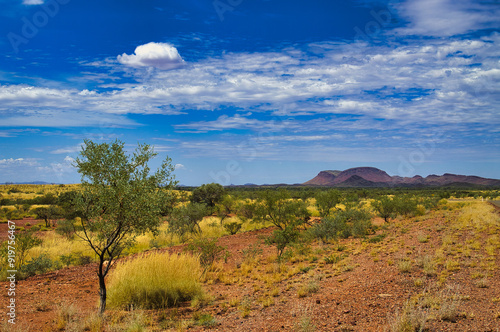 Desert landscape with spinifex, low shrubs, red earth and rolling hills in the remote area between Nanutarra and Tom Price, Pilbara region, Western Australia 