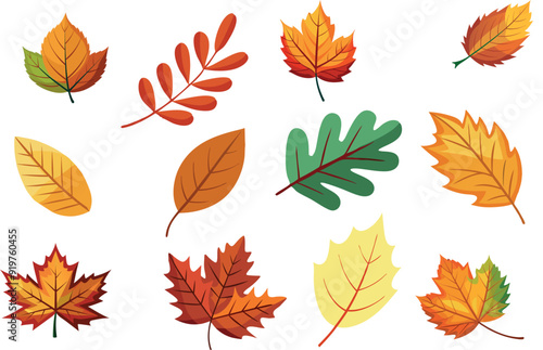 Vector collection of autumn leaves isolated