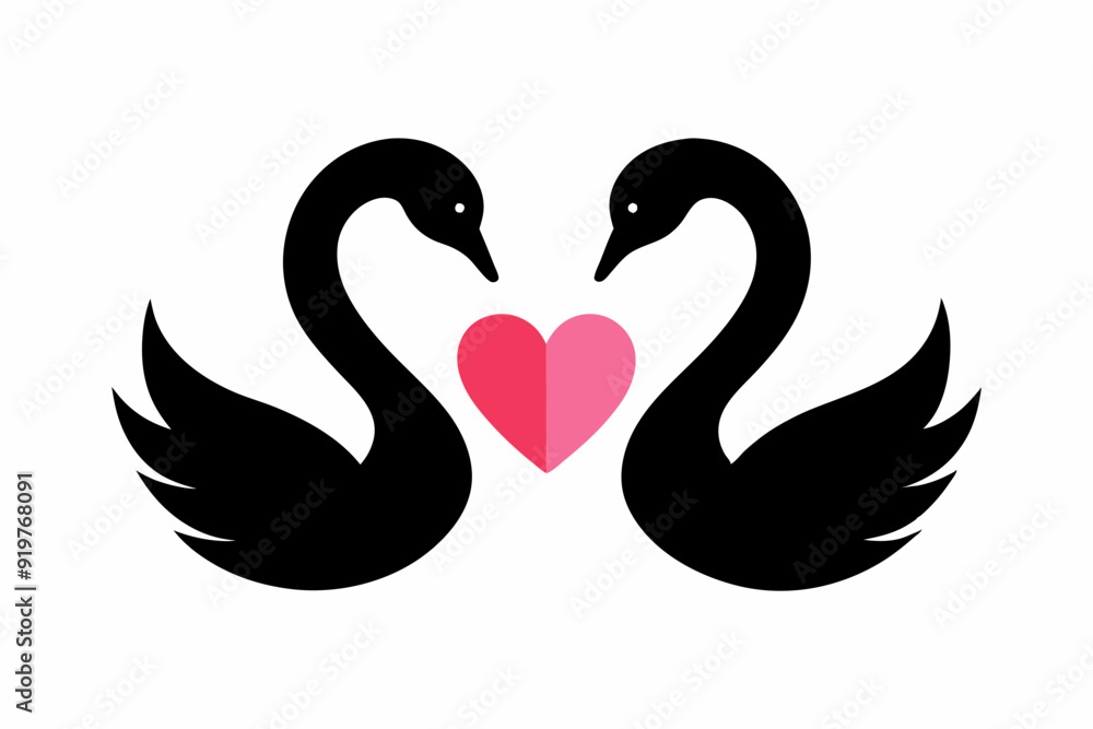 Vector design of two loving black swans on white background Vector design of two loving black swans on white background