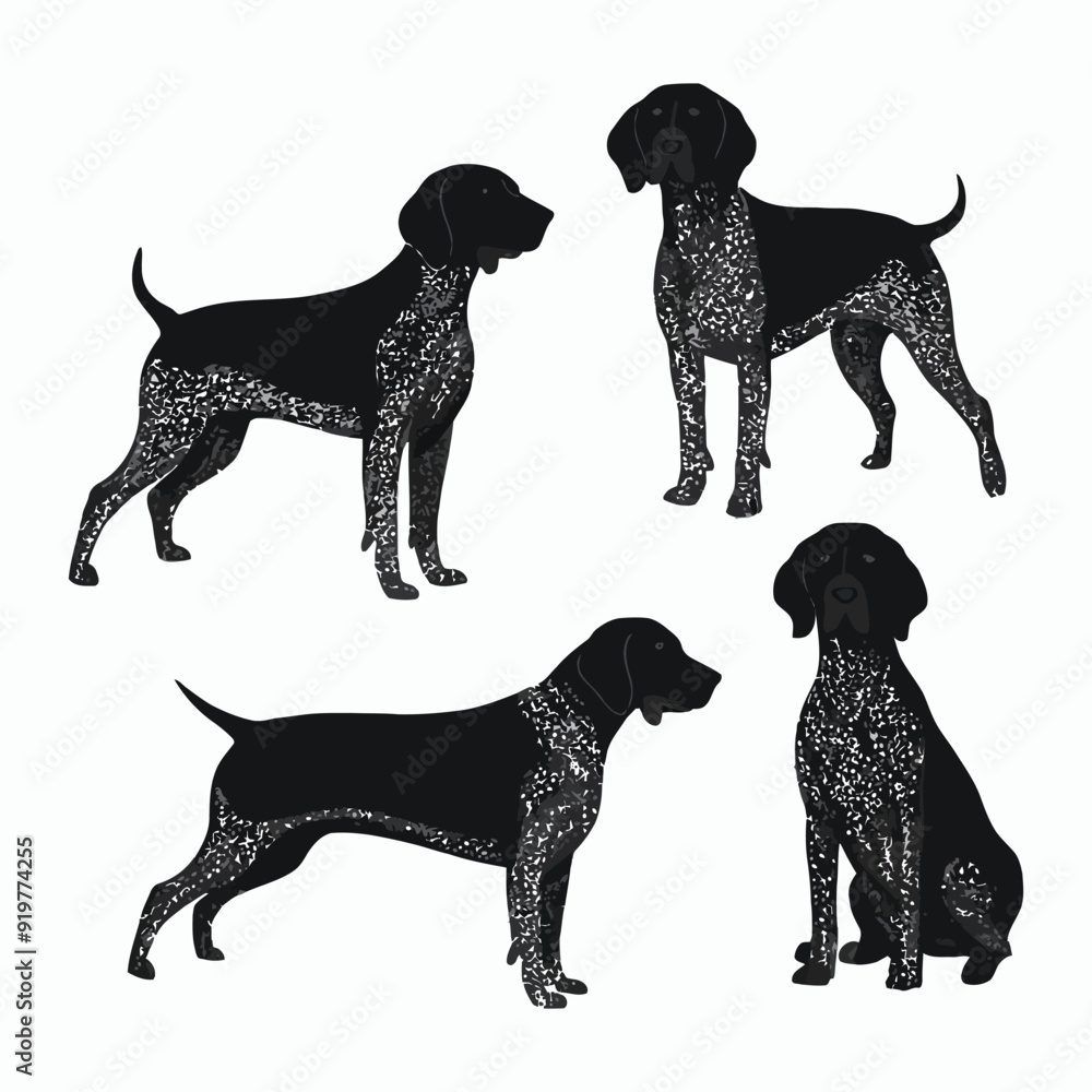 German Shorthaired Pointer Silhouette Vector Template Illustration German Shorthaired Pointer Silhouette Vector Template Illustration