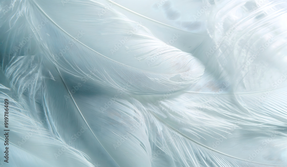 white feathers with a delicate blue shade in close-up, forming an airy background, are great for advertising bedding and home decor, emphasizing softness, lightness and tranquility,copy space white feathers with a delicate blue shade in close-up, forming an airy background, are great for advertising bedding and home decor, emphasizing softness, lightness and tranquility,copy space
