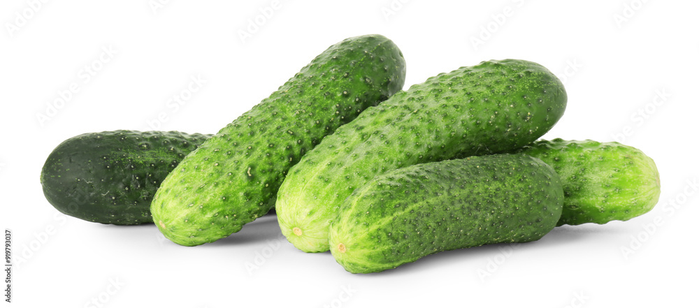 Pile of whole fresh cucumbers isolated on white Pile of whole fresh cucumbers isolated on white