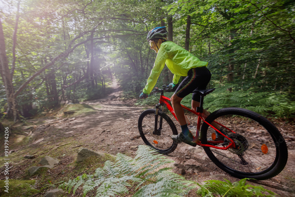 Person biking in a verdant forest, enjoying nature's tranquility Person biking in a verdant forest, enjoying nature's tranquility