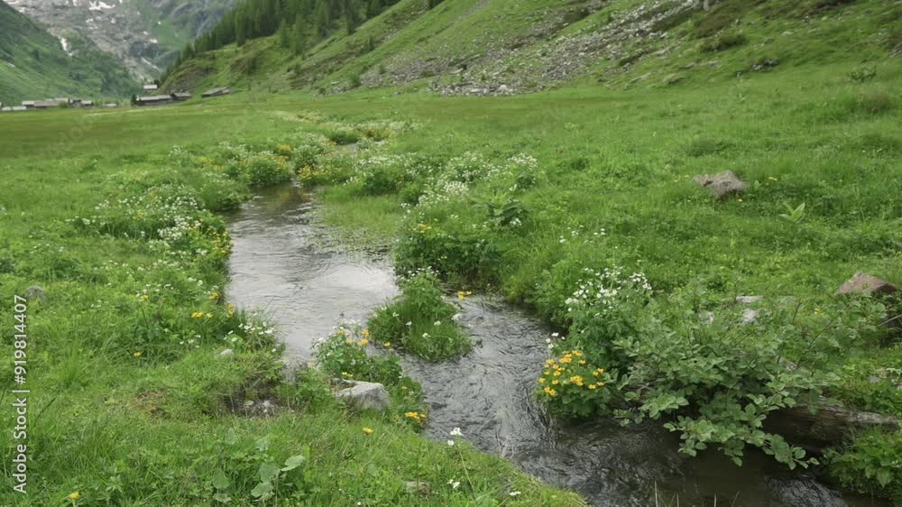 A serene mountain stream flowing through a lush green valley adorned with wildflowers, with mountains visible in the background. Ideal for themes of nature, tranquility, and scenic beauty. A serene mountain stream flowing through a lush green valley adorned with wildflowers, with mountains visible in the background. Ideal for themes of nature, tranquility, and scenic beauty.
