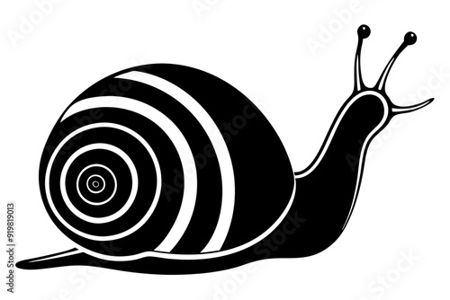 snail silhouette vector, Sea snail vector illustration


