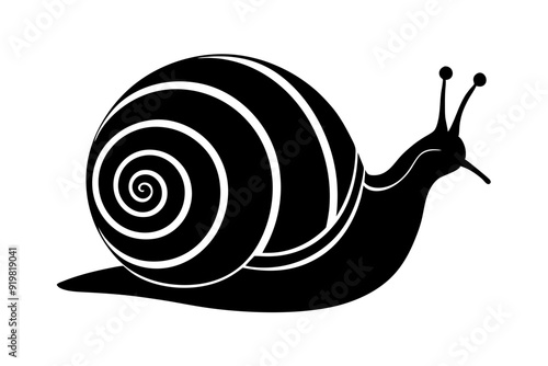 snail silhouette vector, Sea snail vector illustration


