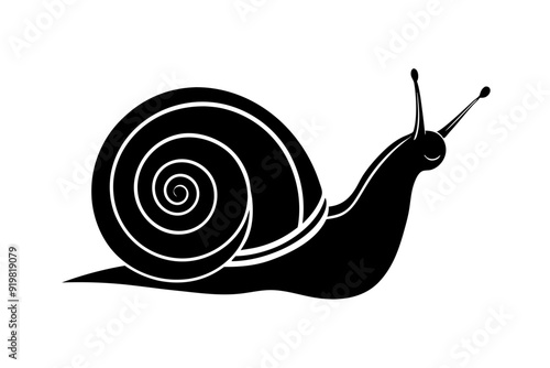 snail silhouette vector, Sea snail vector illustration


