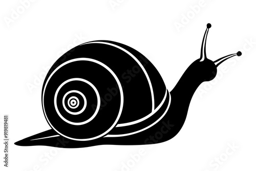  Snail silhouette vector illustration, snail icon symbol