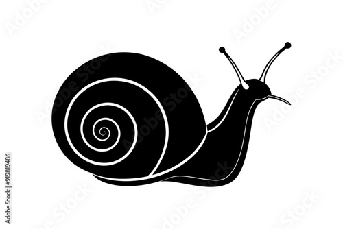 
Snail silhouette vector illustration, snail icon symbol