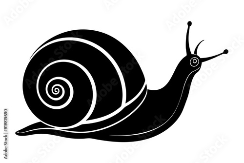 
Snail silhouette vector illustration, snail icon symbol