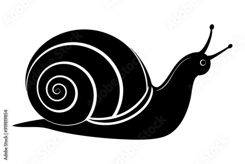 
Snail silhouette vector illustration, snail icon symbol