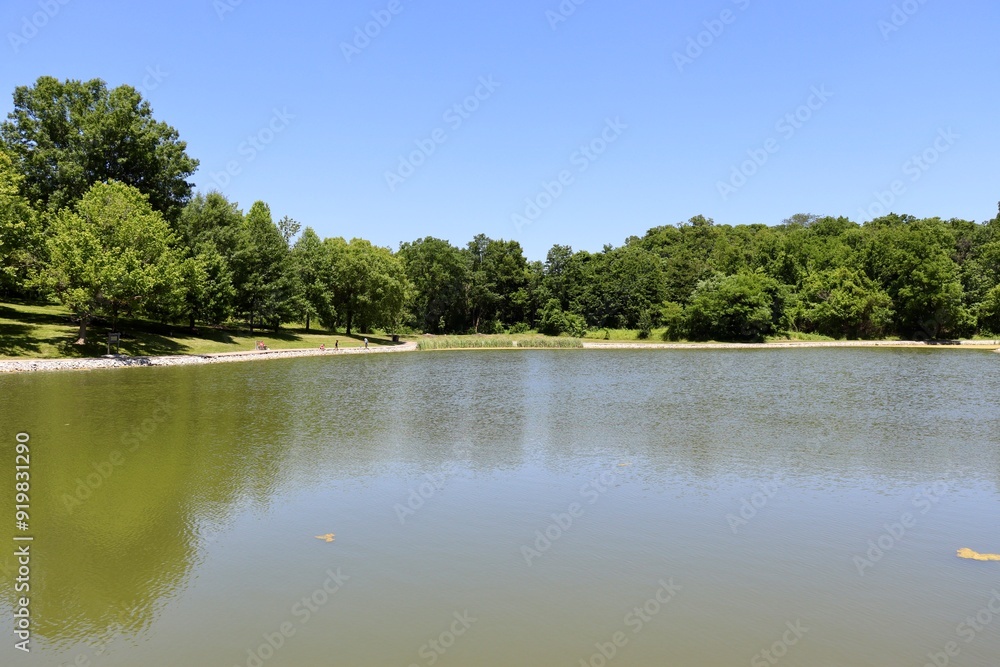 The quiet lake in the countryside on a sunny day. The quiet lake in the countryside on a sunny day.