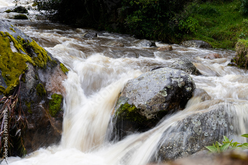 waterfall in the forest