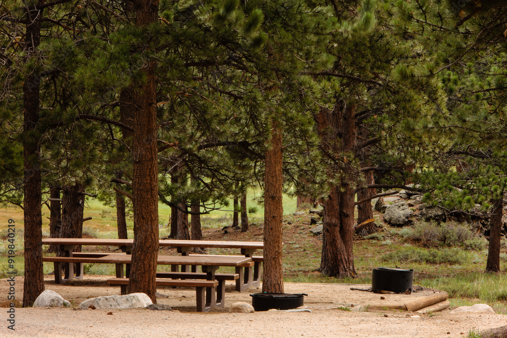 The solitude of a quiet picnic area within Upper Beaver Meadows, Rocky Mountain National Park, Colorado in mid-July. The solitude of a quiet picnic area within Upper Beaver Meadows, Rocky Mountain National Park, Colorado in mid-July.