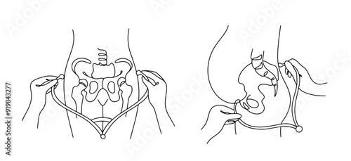 Pelviometry