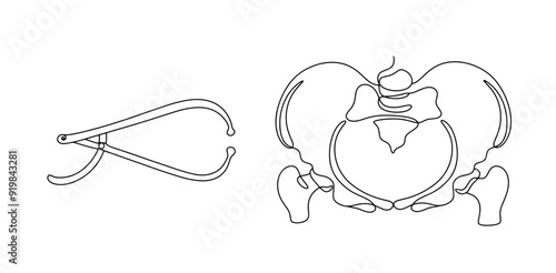 Pelvimeter and pelvis gauge