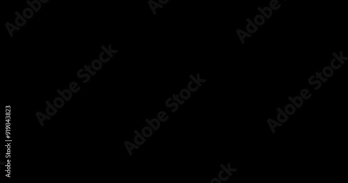 Animation of trash can catching scrap paper and drive out. White on black. Transparent background. Footage. Alpha channel.