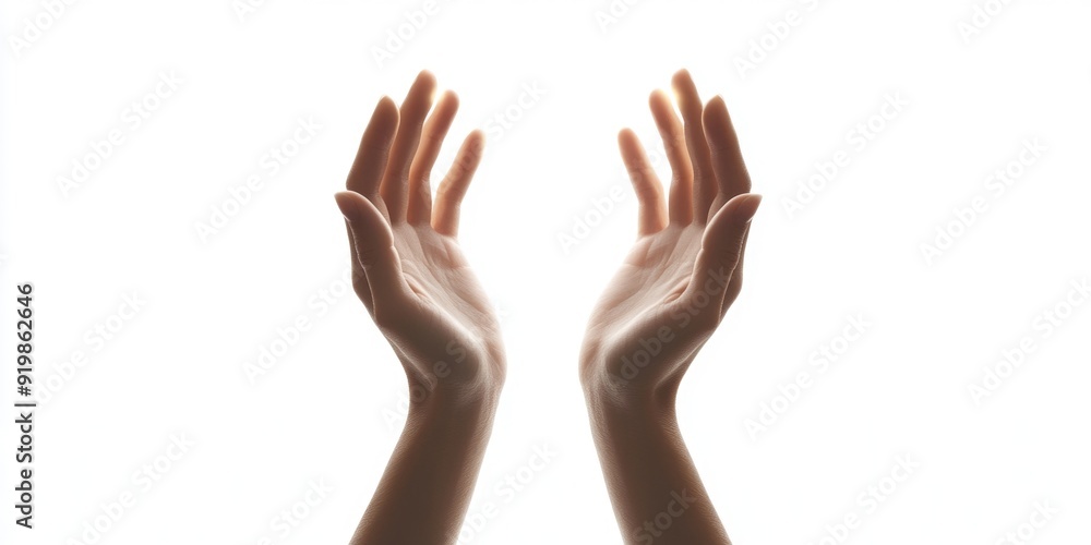 Hands Reaching Up Hands Reaching Up