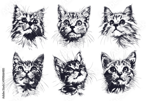 Cats heads sketches set. Cat head kitten sketch portrait, cute fur domestic pet muzzle realistic drawing vector illustration
